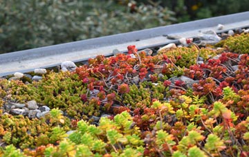 the cost of Tindon End green roof installation