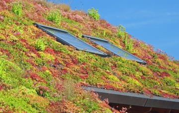 Tindon End living roof systems