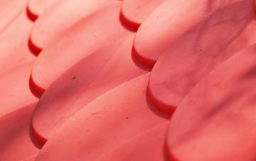 Tindon End plastic roof costs