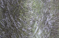 Tindon End fibreglass roof work